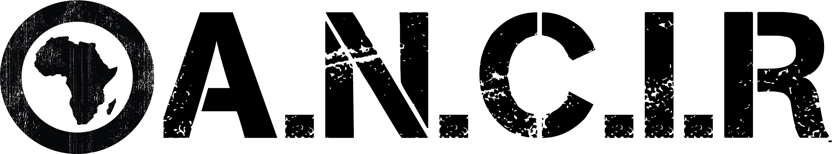 ANCIR logo